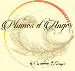 logo Plumes d'anges