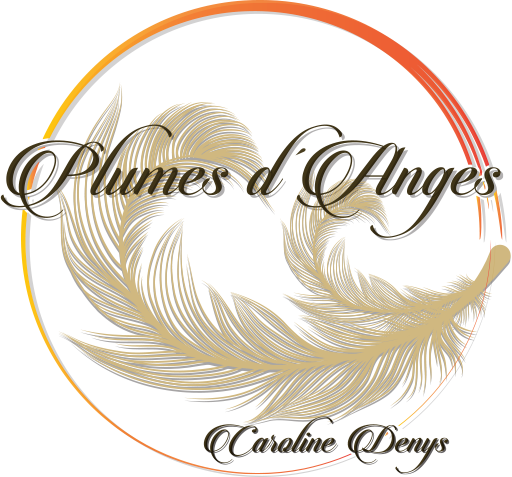 Logo plumes d'anges